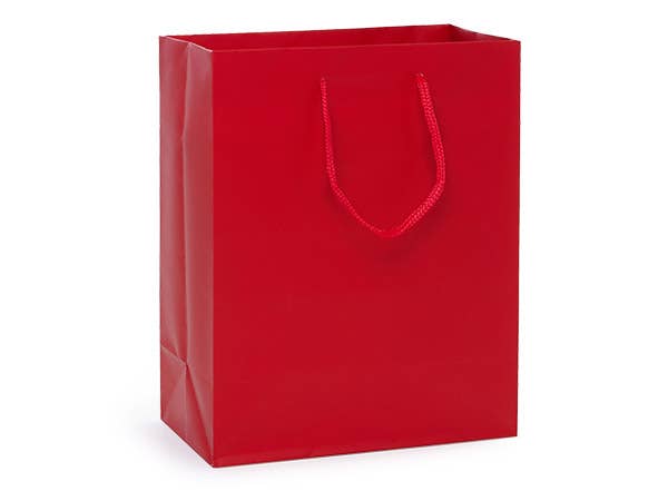 Matte Paper Cord Handle Gift Bags: Aqua Matte / 10 Pack / Jewel 6.5x3.5x6.5"