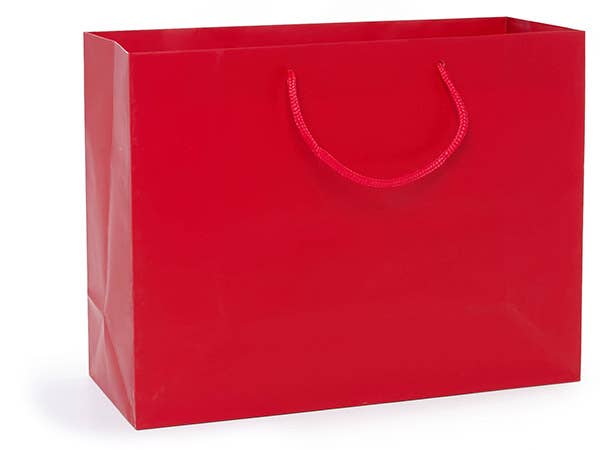 Matte Paper Cord Handle Gift Bags: Aqua Matte / 10 Pack / Jewel 6.5x3.5x6.5"