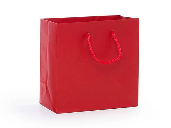 Matte Paper Cord Handle Gift Bags: Aqua Matte / 10 Pack / Jewel 6.5x3.5x6.5"